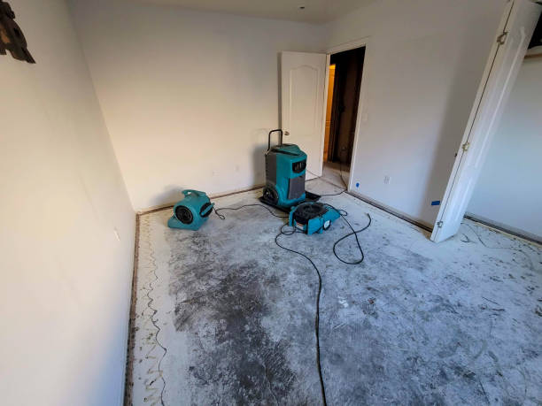 Best Residential water damage restoration  in Cumberland Head, NY