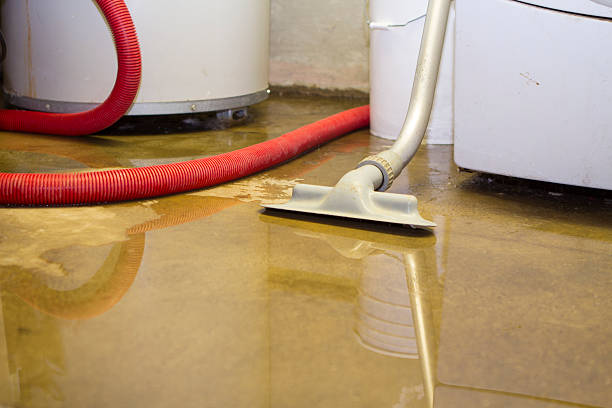 Best Local water damage restoration  in Cumberland Head, NY