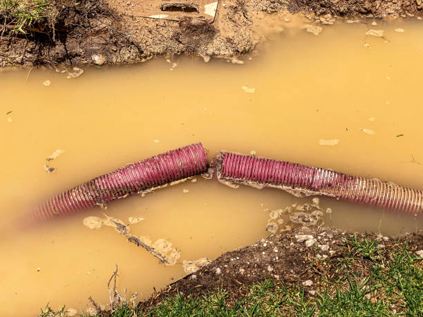 Best 24-hour water damage restoration  in Cumberland Head, NY